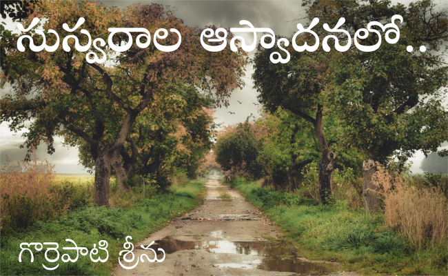 సుస్వరాల ఆస్వాదనలో..