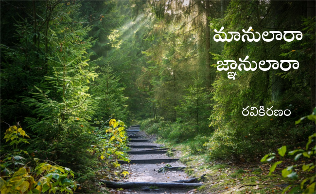 మానులారా జ్ఞానులారా