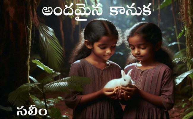 అందమైన కానుక