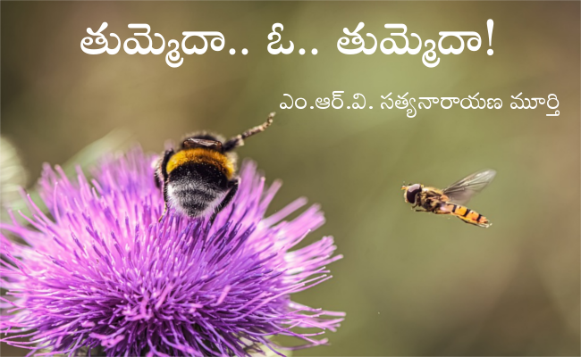 తుమ్మెదా.. ఓ.. తుమ్మెదా!