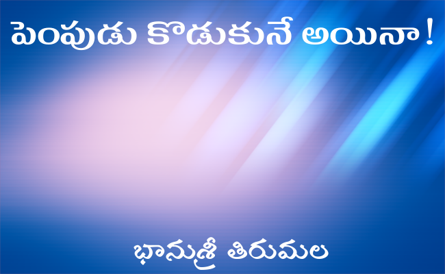 పెంపుడు కొడుకునే అయినా!