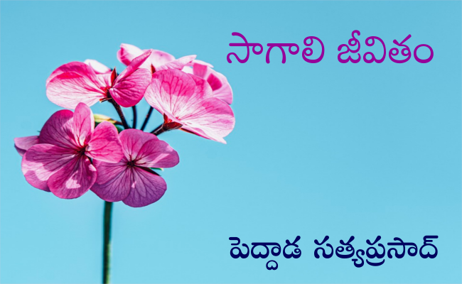 సాగాలి జీవితం