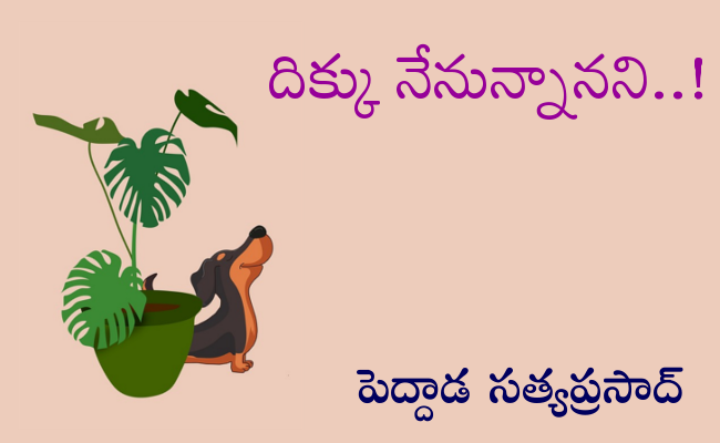 దిక్కు నేనున్నానని..!