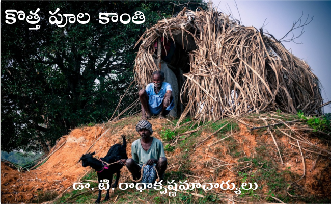 కొత్త పూల కాంతి