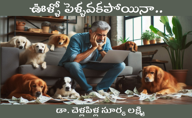 ఊళ్ళో పెళ్ళవకపోయినా..