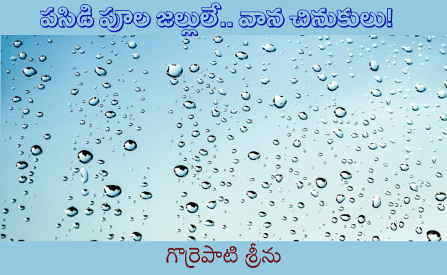 పసిడి పూల జల్లులే.. వాన చినుకులు!