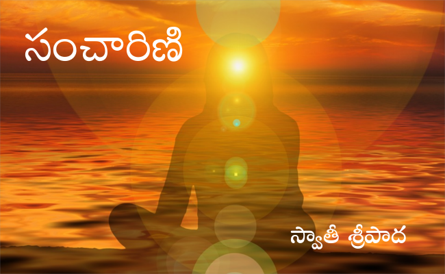 సంచారిణి