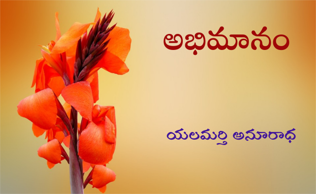 అభిమానం