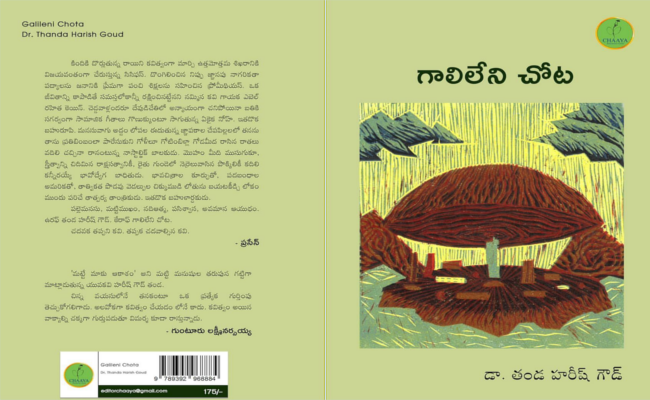 సంక్లిష్టమైన జీవనయానానికి ప్రతీక హరీష్ కవిత