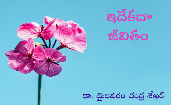 ఇదేకదా జీవితం