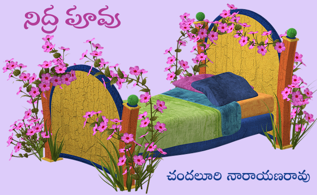 నిద్ర పూవు