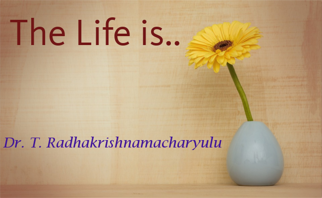 The Life is..
