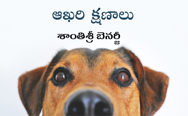 ఆఖరి క్షణాలు